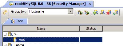 MySQL DBA Tools - Security Manager
