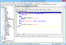 Oracle Debugger - Main Window