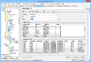 Import Format - Table Definition