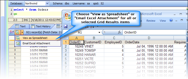 Results View as Spreadsheet