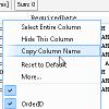 Grid Results - Copy Column Name