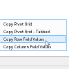 Copy Pivot Grid Row Field Values