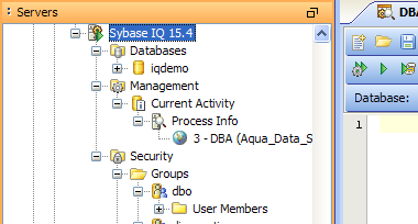 Sybase IQ 15.4 Support