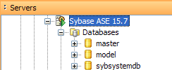 More Sybase Support More Sybase Support