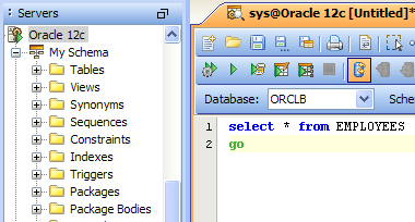 Oracle 12c Support