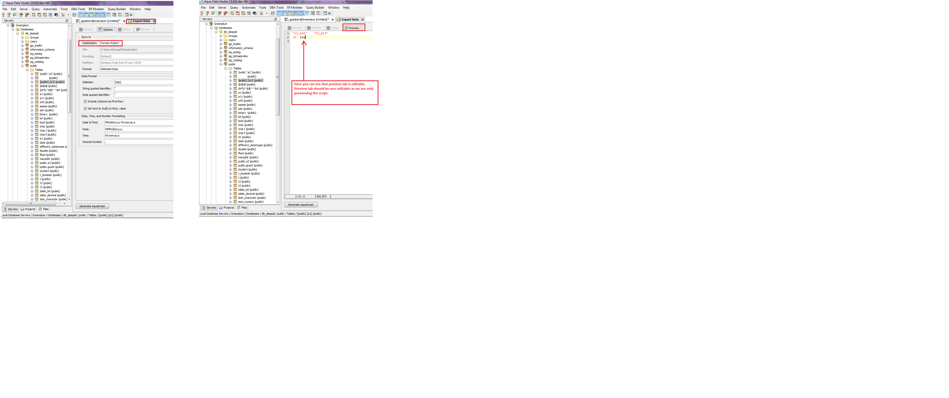 #11371: Preview tab is editable in Export Tool. | Aqua Data Studio