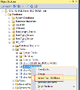 mssqlserverMactionmenu.png