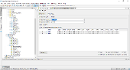 Object_Permissions_WithGrantOption.png