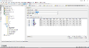 Object_Permissions_WithGrantOption.png