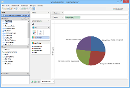 Visual Analytics - How to Make a Pie Chart - Labelled 