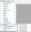 DBA_Tool_Sybase_IQ.png