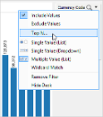 visual_analytics_dimension_filter_top_n.png
