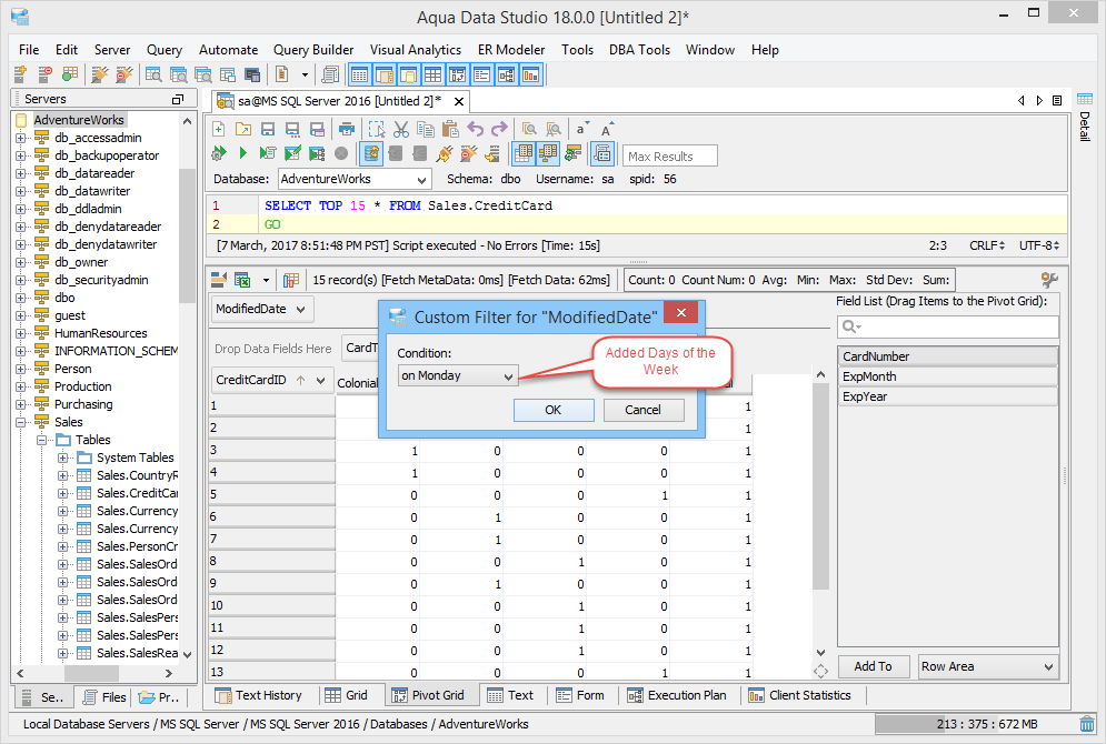 Pivot Grid Custom Days