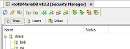 Security Manager.png