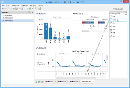 Visual Analytics - Dashboard - Filters