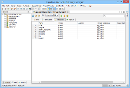 screenshot_greenplum_dba_tool_storage_manager_databases.png