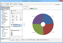 Pie_chart_overview.png