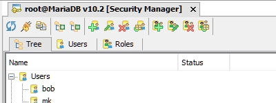 Security Manager.png