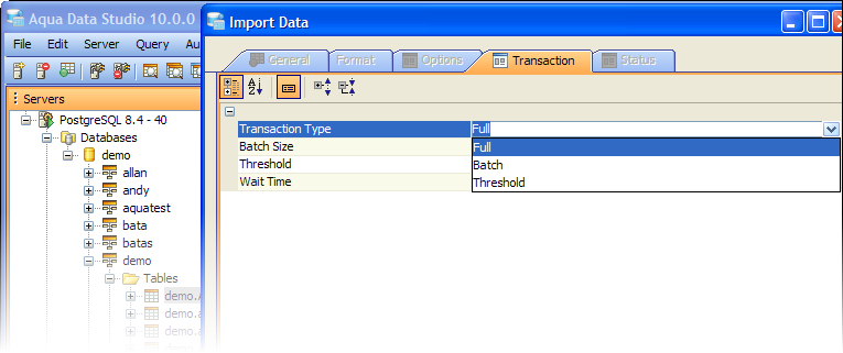 Import Transaction Type