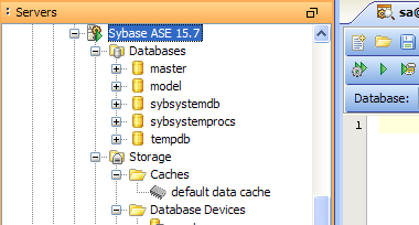 Sybase ASE 15.7 Support