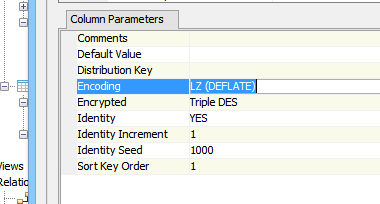 ParAccel 5.1 Support