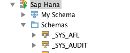 SAP HANA